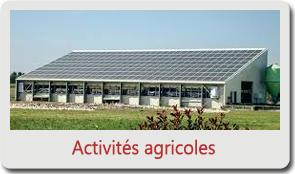 CG 01 Activité agricole 280